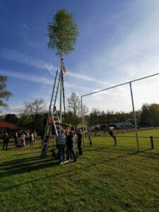 Gruppe von Kindern stellt einen Maibaum auf. Ein Maibaum wird traditionell zu Mai aufgestellt.