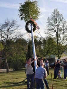 Ein bunter Maibaum wird von zwei Männern aufgebaut.